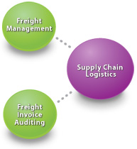 Supply Chain Logistics Services Portfolio